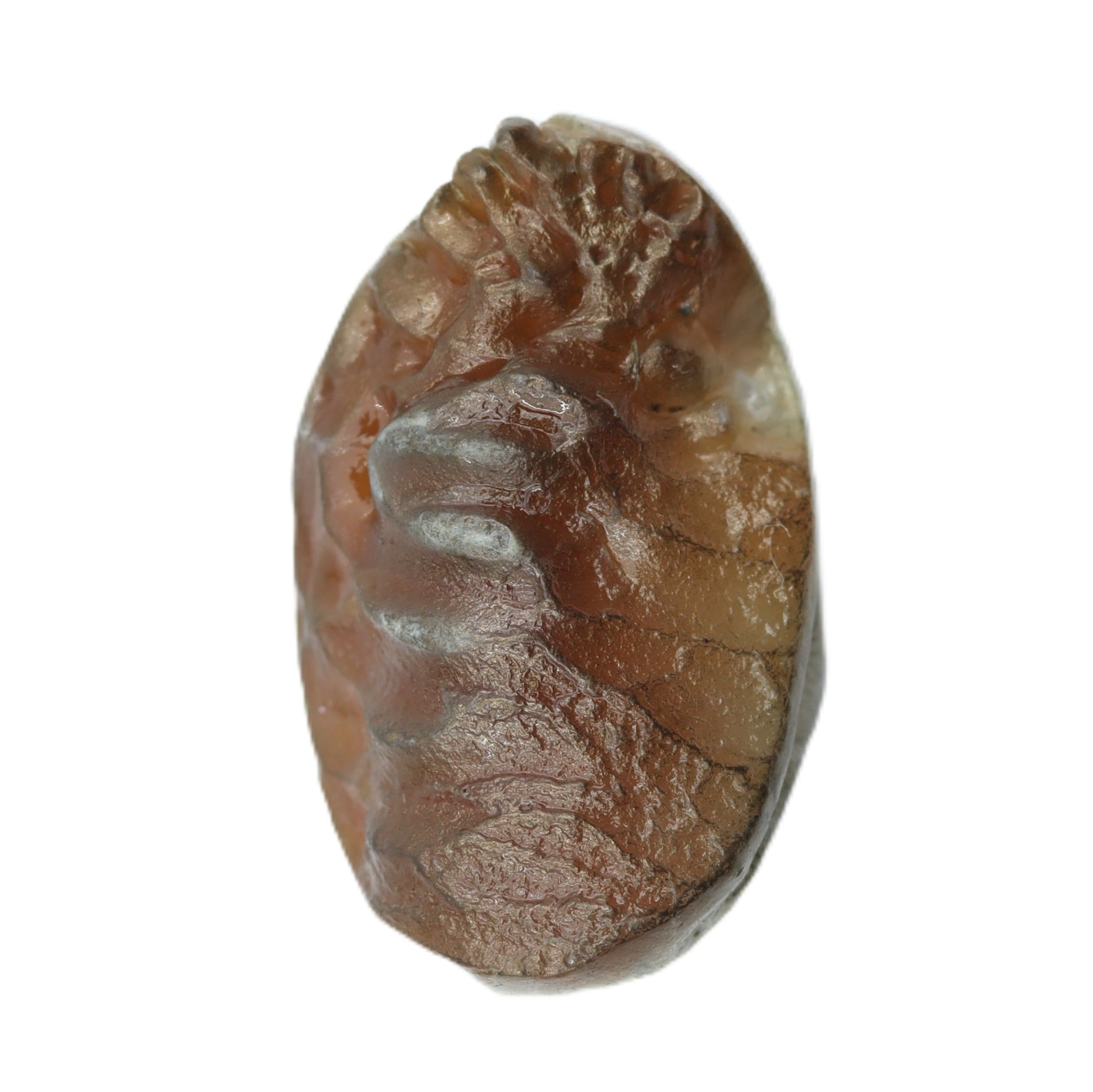 Original Raw Shukramani Stone